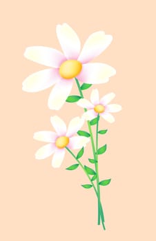 white wild flower