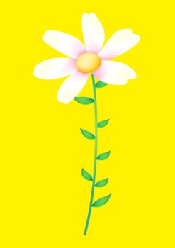 wild flower