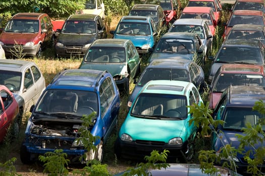 Old-Cars-260910-1