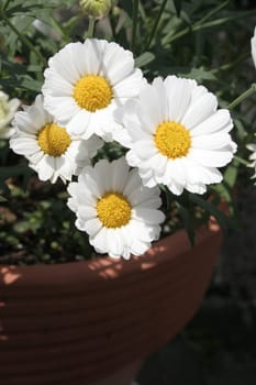 Margarete