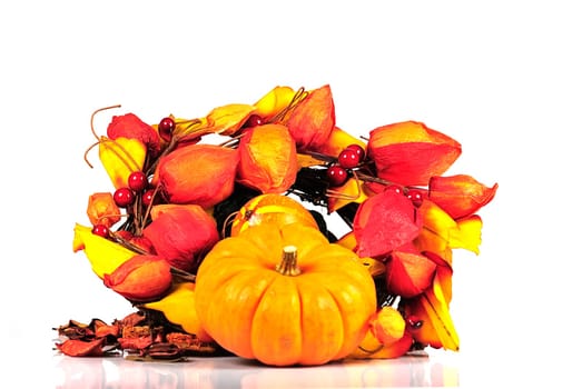 Autumn Time 1