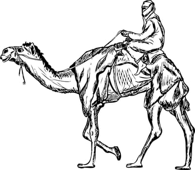bedouin