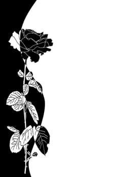 floral background
