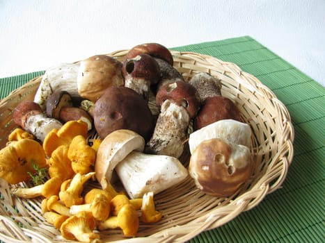 Wild mushrooms in a basket