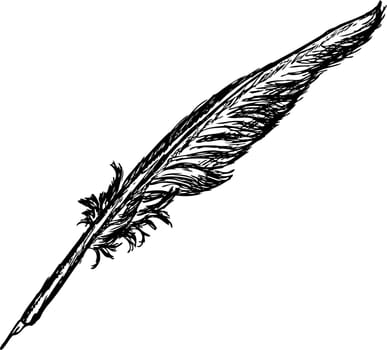 quill