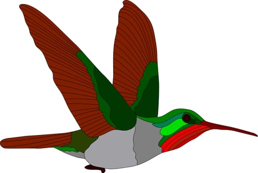 hummingbird