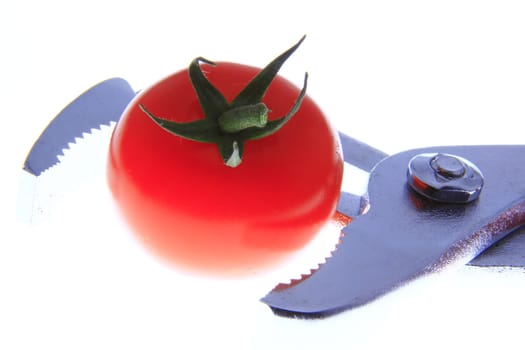 Tomato and tongs