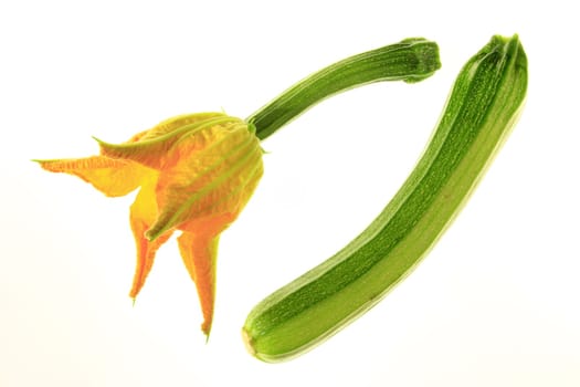 Zuccini and zuccini blossom