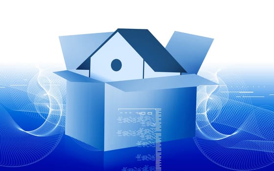 house in a cardboard box