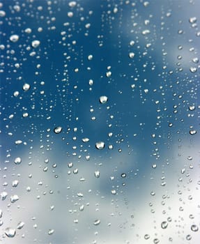 Raindrops