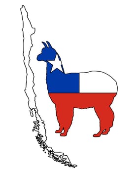 Chilean Alpaca