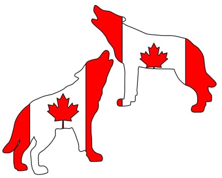 Canadian Wolves