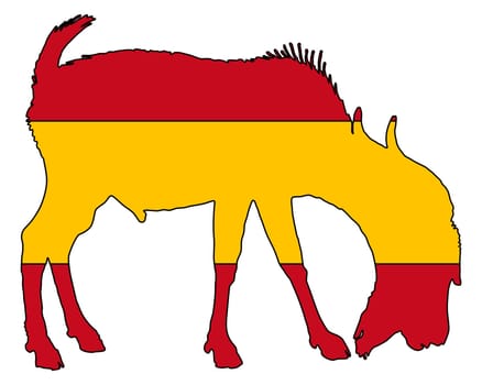 Spanish billy goat