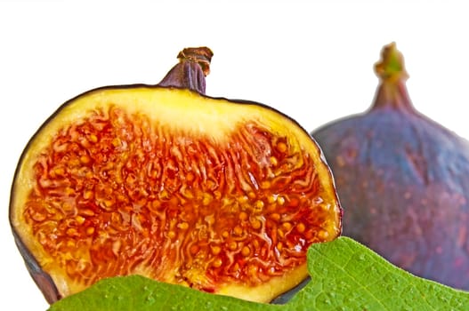 Fig