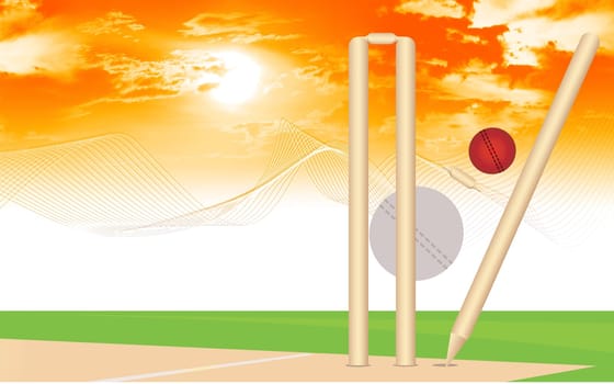 Cricket