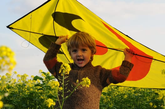 Kite