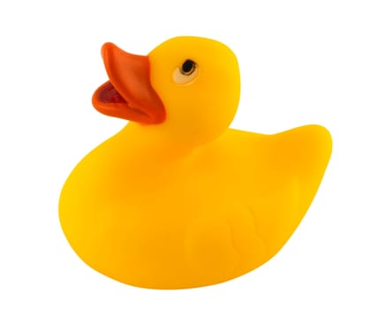 Toy Duck