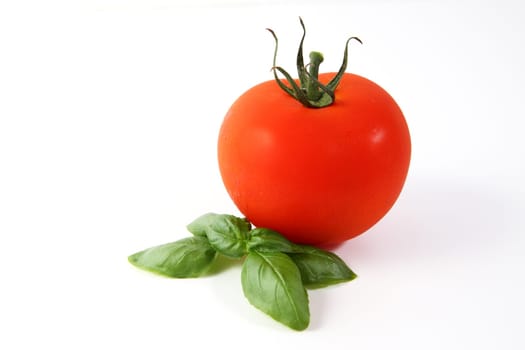 Tomato,Tomato
