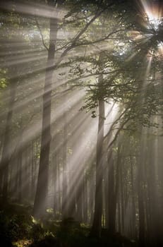 Sun Dance