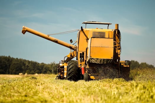 Combine harvester working