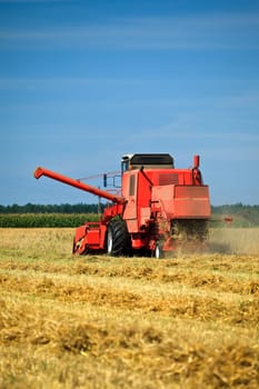 Combine harvester working