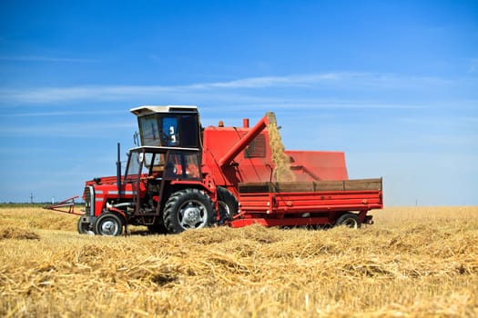 Combine harvester working