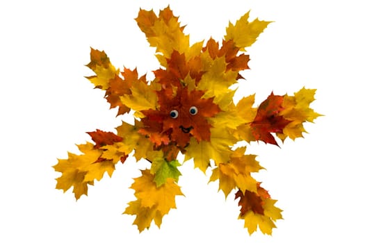 Autumn leaves on a white background