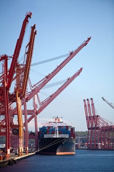 container cargo ship in port