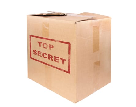The big cardboard box