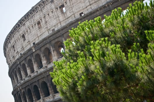 Colosseum