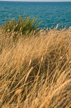 By the sea