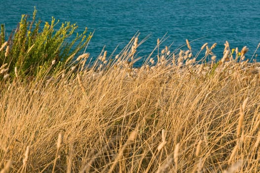 By the sea