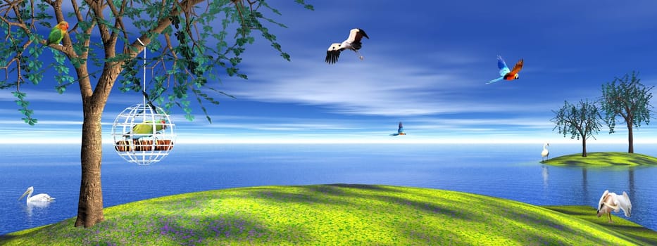 Parrot in a cage and free birds