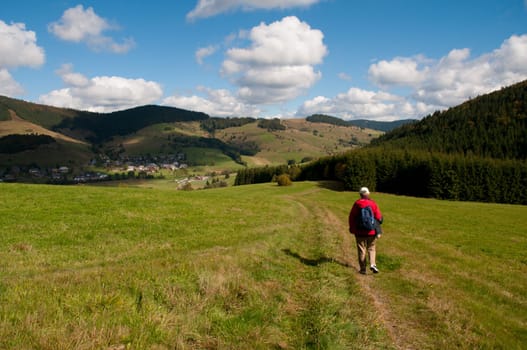 Hiker on a meadow in the Black Forest