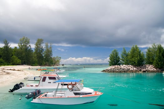 Harbor