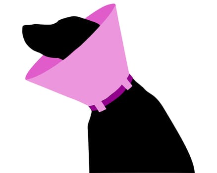 Dog with ruff