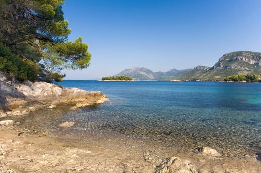 Trstenik