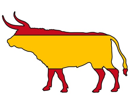 Spanish Bull