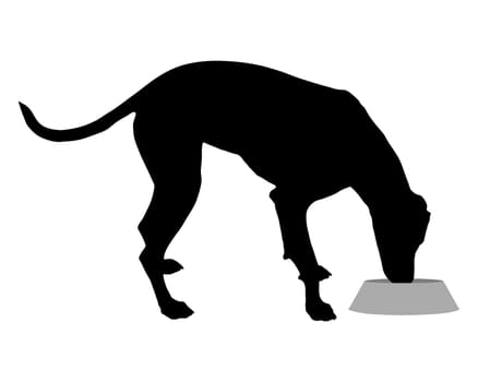 Dog eating