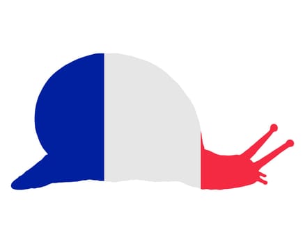 French Vineyard Snail