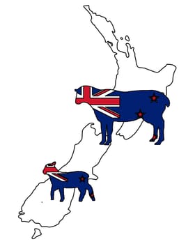New Zealand's sheep