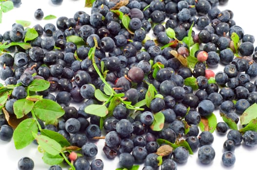 Blueberry