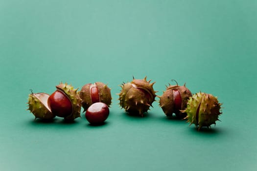 Chestnuts..