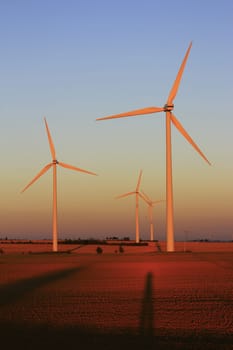 Wind turbines in the evening light