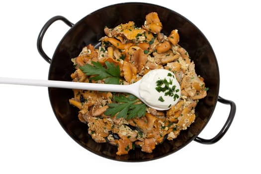 Mushroom ragout