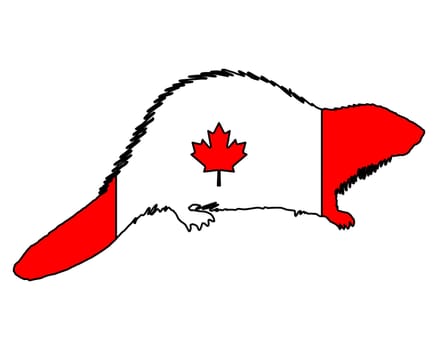 Canadian Beaver