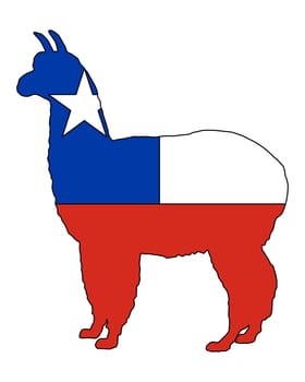 Chilean Alpaca