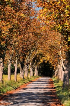 Moenchsbruch Nature Reserve