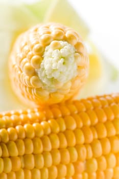 corncob