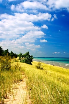 Sand dunes at beach